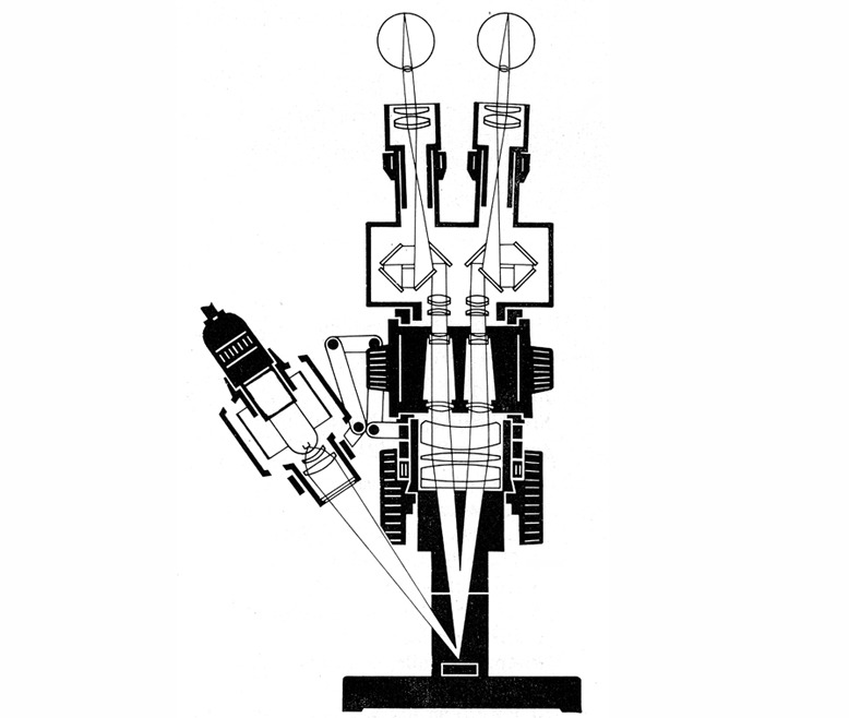 Optisches System im Stereomikroskop